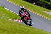 PJ-Motorsport-Photography-2020;anglesey;brands-hatch;cadwell-park;croft;donington-park;enduro-digital-images;event-digital-images;eventdigitalimages;mallory;no-limits;oulton-park;peter-wileman-photography;racing-digital-images;silverstone;snetterton;trackday-digital-images;trackday-photos;vmcc-banbury-run;welsh-2-day-enduro